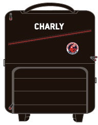 CHARLY VERACRUZ TRAVEL SMALL BAG 2019-2020